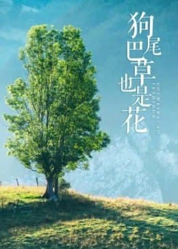 狗尾巴草也是花 - 剧情片 (2014) 海报