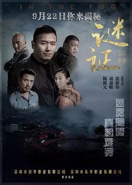 谜证 - 剧情片 (2017) 海报