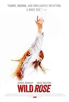 野玫瑰 - 剧情片 (2018) 海报