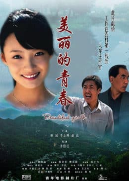 美丽的青春 - 剧情片 (2010) 海报
