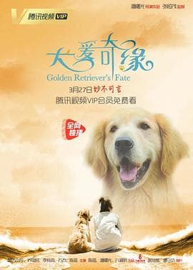 犬爱奇缘 - 剧情片 (2019) 海报