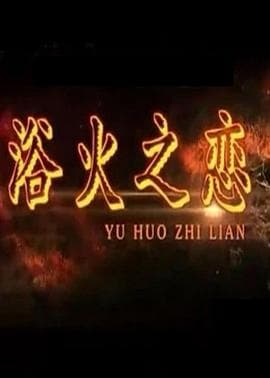 浴火之恋 - 剧情片 (2012) 海报