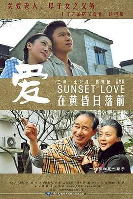 爱在黄昏日落前 - 剧情片 (2014) 海报