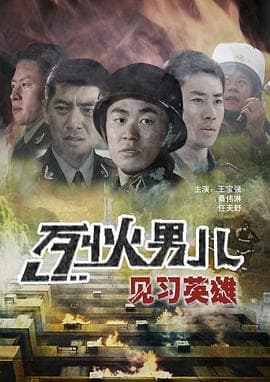 烈火男儿之见习英雄 - 剧情片 (2008) 海报