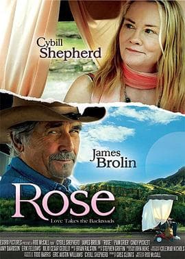 荒野玫瑰 - 剧情片 (2017) 海报