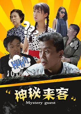 神秘来客 - 剧情片 (2016) 海报