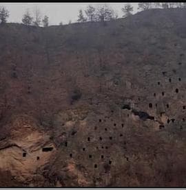 狩猎场·寄死窑 - 剧情片 (2003) 海报