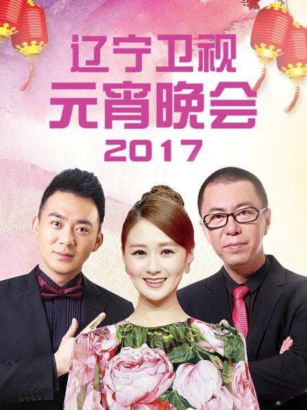 辽宁卫视元宵晚会 2017 - 大陆综艺 (2017) 海报