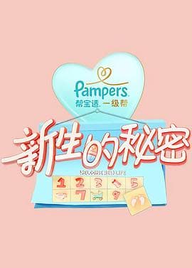 新生的秘密 - 大陆综艺 (2019) 海报