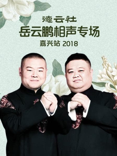 德云社岳云鹏相声专场嘉兴站2018 - 大陆综艺 (2020) 海报