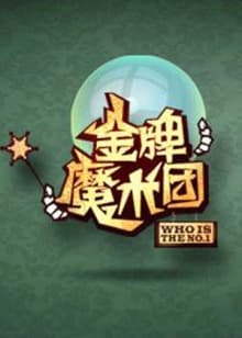 金牌魔术团 - 大陆综艺 (2009) 海报