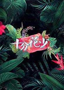 十分花少 - 大陆综艺 (2017) 海报