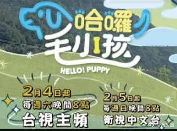 哈啰！毛小孩 - 港台综艺 (2023) 海报