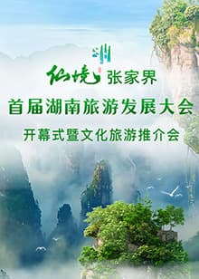 首届湖南旅游发展大会开幕式暨文化旅游推介会 - 大陆综艺 (2022) 海报