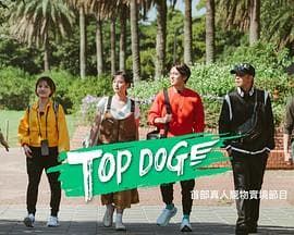 TOP DOG - 港台综艺 (2023) 海报