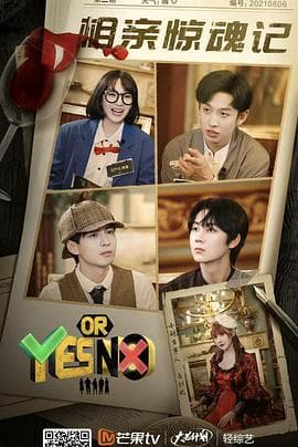 YES OR NO - 大陆综艺 (2021) 海报