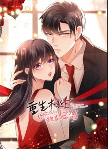 重生相逢：给你我的独家宠溺 动态漫画第二季 - 国产动漫 (2022) 海报