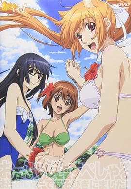 玩伴猫耳娘!OVA - 日韩动漫 (2011) 海报