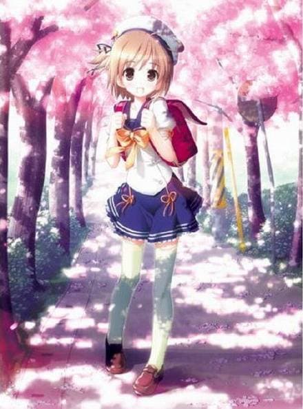 四娘物语 - 日韩动漫 (2008) 海报