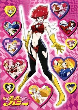 甜心战士 - 日韩动漫 (2004) 海报