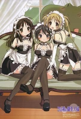 这就是我的主人 - 日韩动漫 (2005) 海报