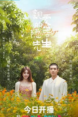 亲爱的隐居先生 - 国产剧 (2023) 海报