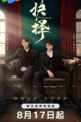 抉择 - 国产剧 (2023) 海报