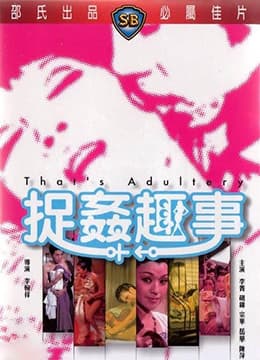 捉奸趣事 - 港台三级 (1975) 海报