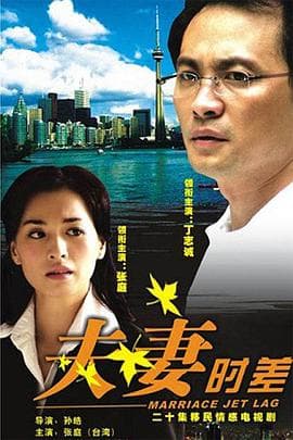 夫妻时差 - 国产剧 (2008) 海报