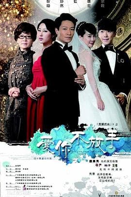 爱你不放手 - 国产剧 (2013) 海报