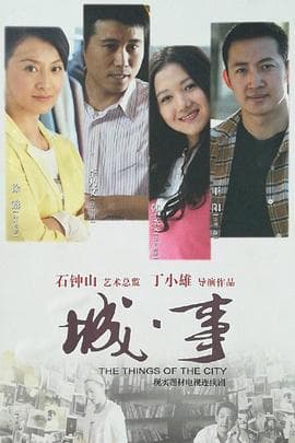 城事 - 国产剧 (2010) 海报