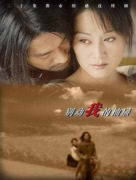 别动我的抽屉 - 国产剧 (2003) 海报