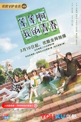等等啊我的青春2019 - 国产剧 (2019) 海报
