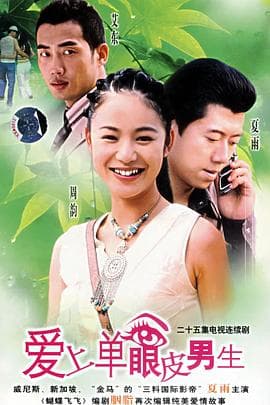 爱上单眼皮男生 - 国产剧 (2005) 海报