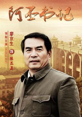 阿丕书记 - 国产剧 (2012) 海报