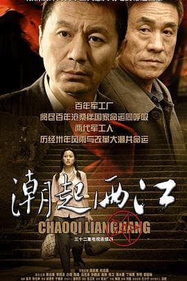 潮起两江 - 国产剧 (2009) 海报