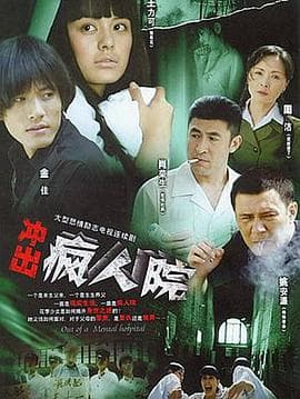 疯狂的麦穗儿 - 国产剧 (2007) 海报
