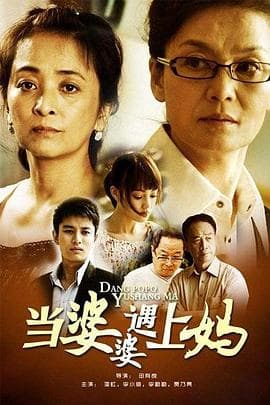 当婆婆遇上妈 - 国产剧 (2011) 海报