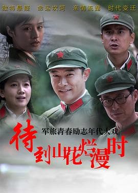 待到山花烂漫时 - 国产剧 (2014) 海报