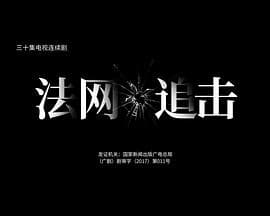 法网追击 - 国产剧 (2017) 海报