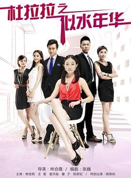 杜拉拉之似水年华 - 国产剧 (2013) 海报