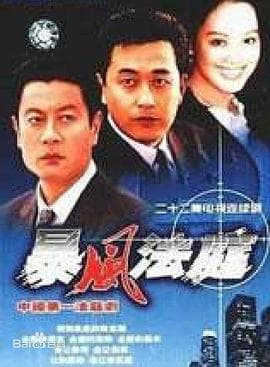 暴风法庭 - 国产剧 (2002) 海报