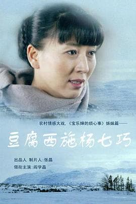 豆腐西施杨七巧 - 国产剧 (2014) 海报