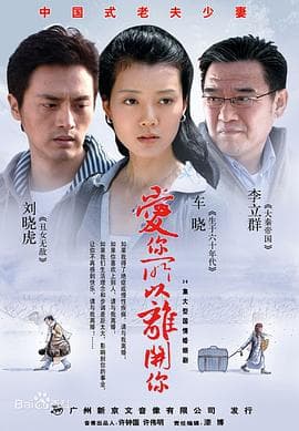 爱你所以离开你 - 国产剧 (2008) 海报