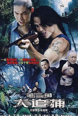 大追捕2008 - 国产剧 (2008) 海报