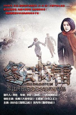 冬日惊雷 - 国产剧 (2013) 海报