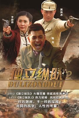 独立纵队2 - 国产剧 (2015) 海报
