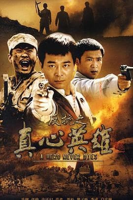 反抗之真心英雄 - 国产剧 (2008) 海报
