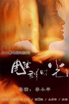 雕刻时光 - 国产剧 (2006) 海报