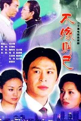 不嫁则已 - 国产剧 (2002) 海报